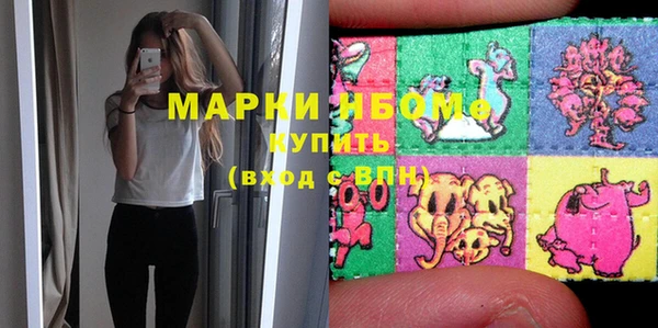 мет Алексин