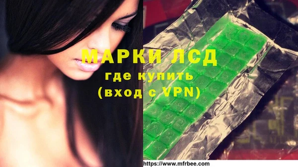 амф Алзамай