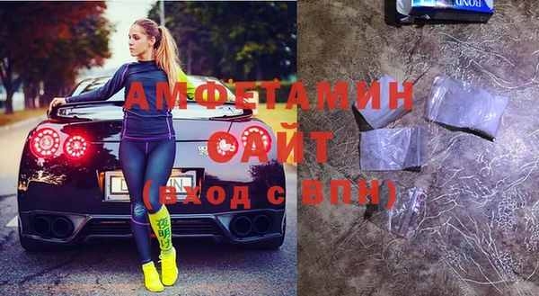мет Алексин