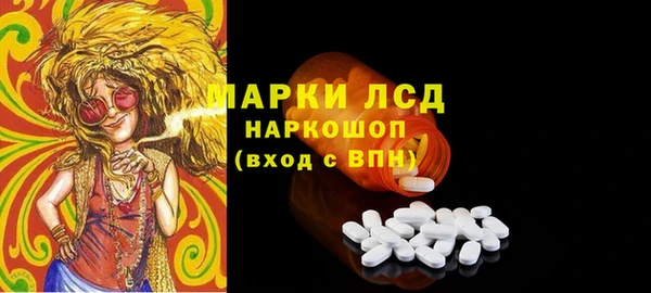 мет Алексин