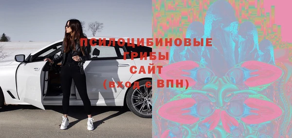мет Алексин