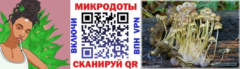 это формула  Бакал  Галлюциногенные грибы Psilocybine cubensis 