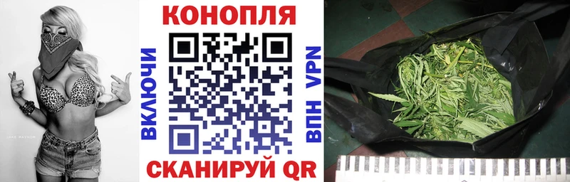 Шишки марихуана индика Бакал